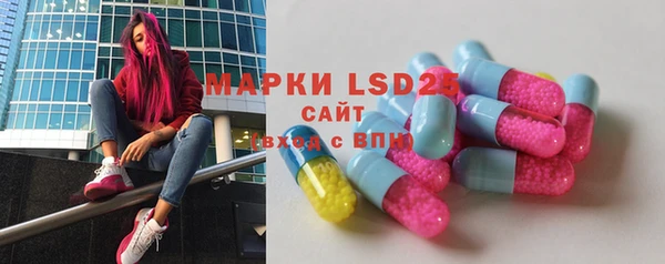 ГАЛЛЮЦИНОГЕННЫЕ ГРИБЫ Баксан