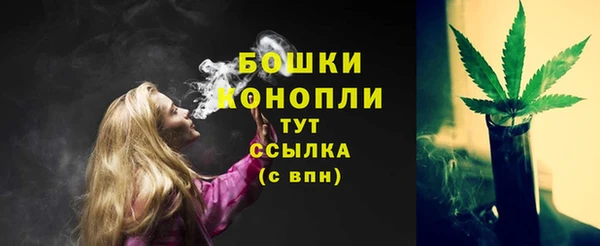 крисы Арсеньев
