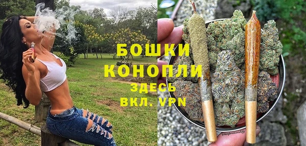 ГАЛЛЮЦИНОГЕННЫЕ ГРИБЫ Баксан
