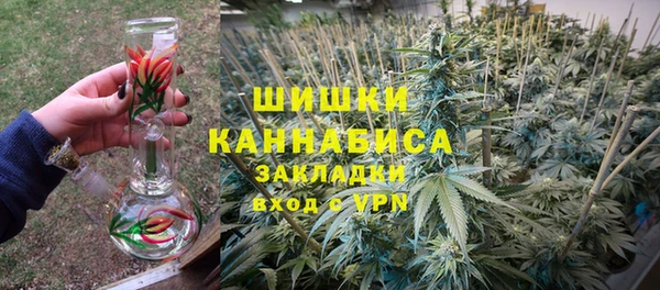 крисы Арсеньев