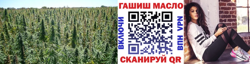 ТГК Wax  ОМГ ОМГ как войти  Озёры 
