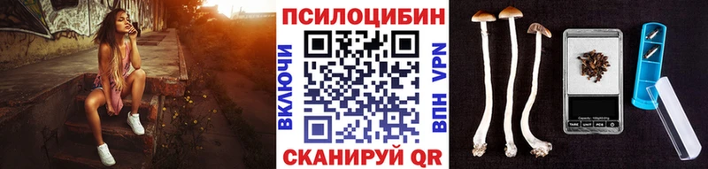 МЕГА   Озёры  Галлюциногенные грибы мицелий 